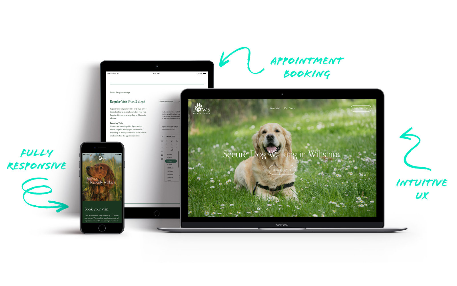 Complete brand identity solution for Dog Walking company